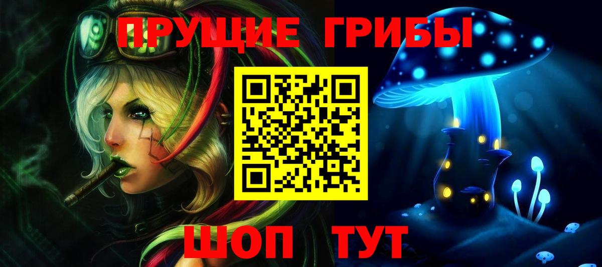 Псилоцибиновые грибы мицелий Лесозаводск
